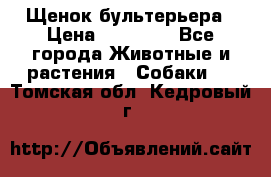 Щенок бультерьера › Цена ­ 35 000 - Все города Животные и растения » Собаки   . Томская обл.,Кедровый г.